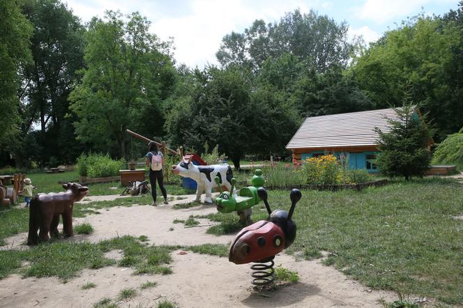 Naturalny plac zabaw przy Dolinie Służewieckiej. Chcieli go spalić, teraz go uwielbiają? 
