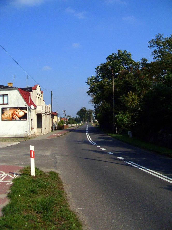 Drogi