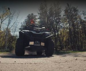 M jak miłość, odc. 1875. Dominik Walat (Bartosz Surówka)