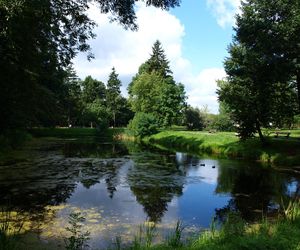 Oto najlepsze miejsce do życia na Mazowszu. Zielona oaza tuż pod Warszawą. Ranking top 10 według AI
