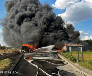 Gmina Łuków: spłonęła baza firmy transportowej w miejscowości Ławki 