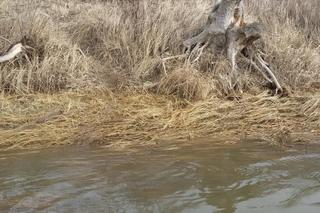 Na prośbę dwóch rodzin prowadzili poszukiwania w wodzie. Odnaleźli ciało młodego chłopaka
