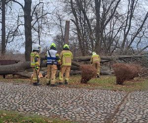 Potężne wichury przechodzą przez Małopolskę. Strażacy interweniowali ponad 120 razy