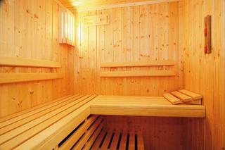Drewno do sauny. Jakie drewno zastosować do budowy sauny?