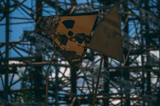 Niesamowite odkrycie w Czarnobylu. Naukowcy ujawnili zaskakującą rzecz 