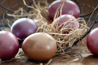 Ceny jajek na Mazowszu biją rekordy. Jakie są warszawskie alternatywy?