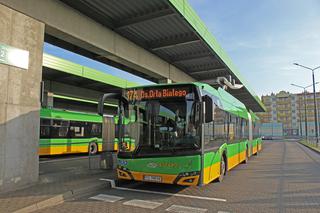 Autobusy elektryczne wyjechały na ulice Poznania