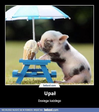Memy o upale