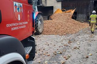 Był przyciśnięty od pasa w dół do ściany