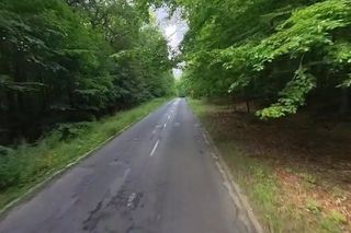 Społecznicy chcą zatrzymać ruch przelotowy przez Las Łagiewnicki. Pojazdy emitują substancje szkodliwe