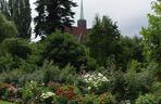 7 najładniejszych ogrodów botanicznych w Polsce. Kiedy je odwiedzić i gdzie są?