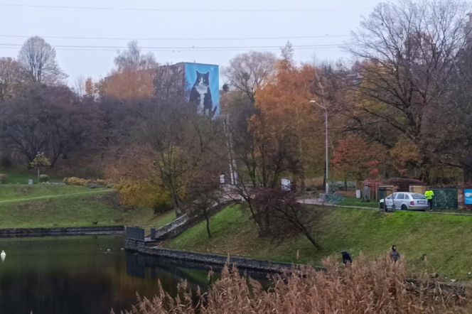 Mural z kotem Gackiem już odsłonięty