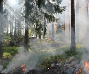 Alarm w czterech województwach! RCB ostrzega przed pożarami