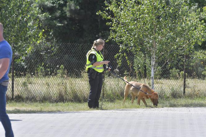Do poszukiwań Dawidka zostały włączone specjalne psy niemieckiej policji