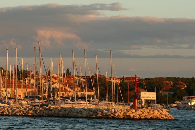 Biograd