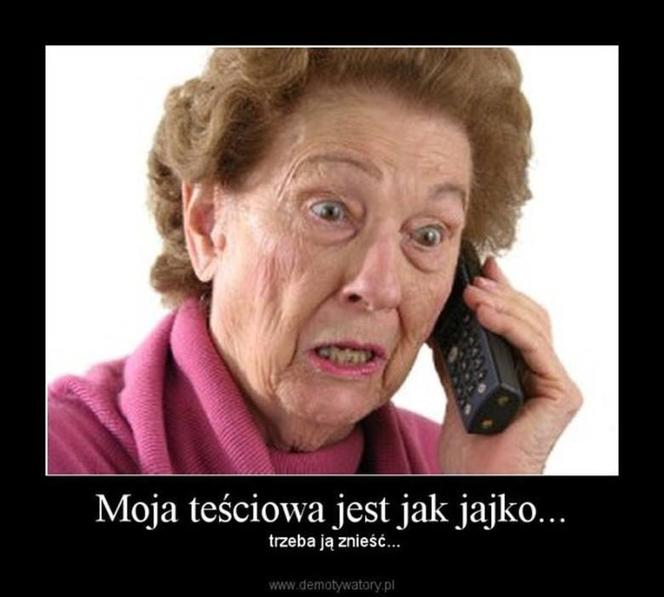 Memy na Dzień Teściowej 2025 [GALERIA]