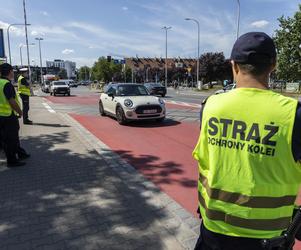 Nowe rogatki paraliżują ruch na południu Wrocławia. Kierowcy sami sobie winni?