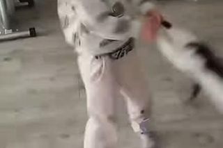 Dziewczynka rzucała kotem, matka nagrywała! Interweniowała policja