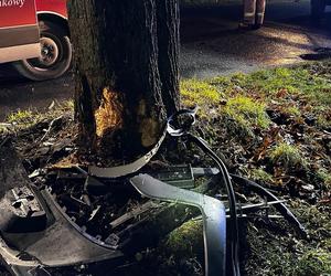 Młody kierowca roztrzaskał się na drzewie! Wcześniej zginął tu jego brat [ZDJĘCIA]