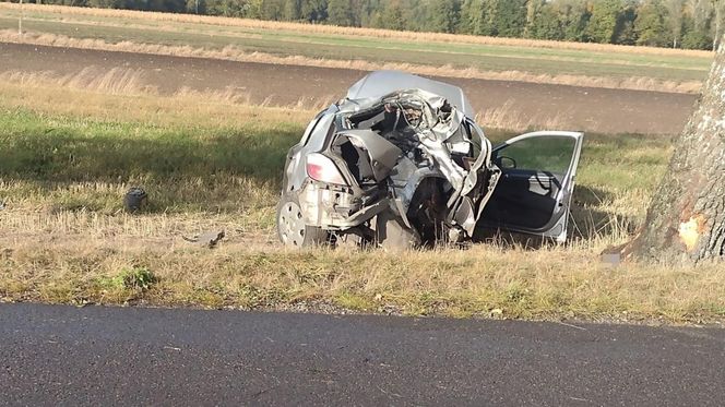 Tragedia na drodze w woj. lubelskim. Nie żyje 49-letnia kierująca
