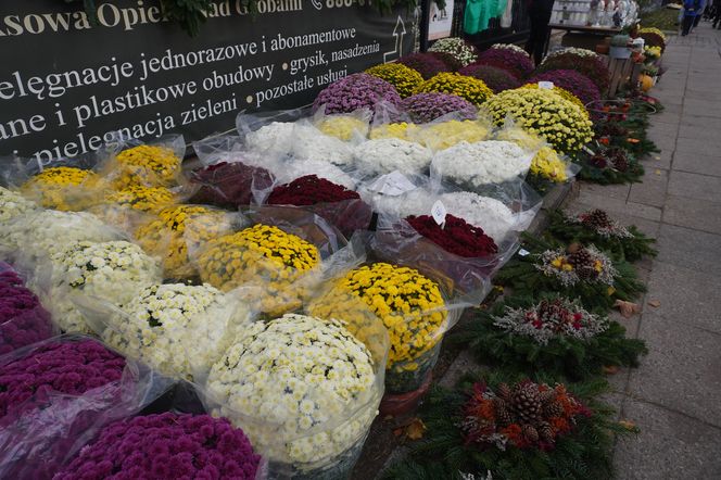 Ceny zniczy i kwiatów pod Cmentarzem Centralnym w Szczecinie