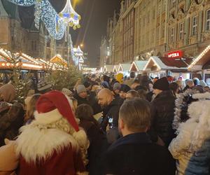 Ale blask! Choinka we Wrocławiu już świeci! Świątecznie rozświetliła cały Rynek [ZDJĘCIA]