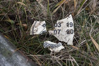 Smutny los dziecięcego gwiazdora PRL. Jego grób jest w FATALNYM stanie. Na pogrzeb czekał 8 miesięcy! Niezapomniani WIDEO