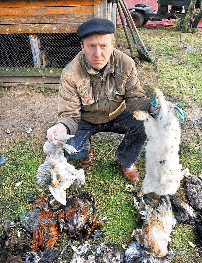 To burek udawał BESTIĘ!