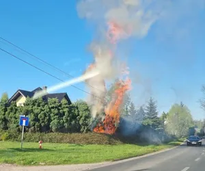 Grillowanie na gorąco?! Niebezpieczny pożar w Droszkowie