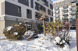 Takiej zimy we Wrocławiu  nie było od kilku lat. Zobacz te piękne ośnieżone miejsca