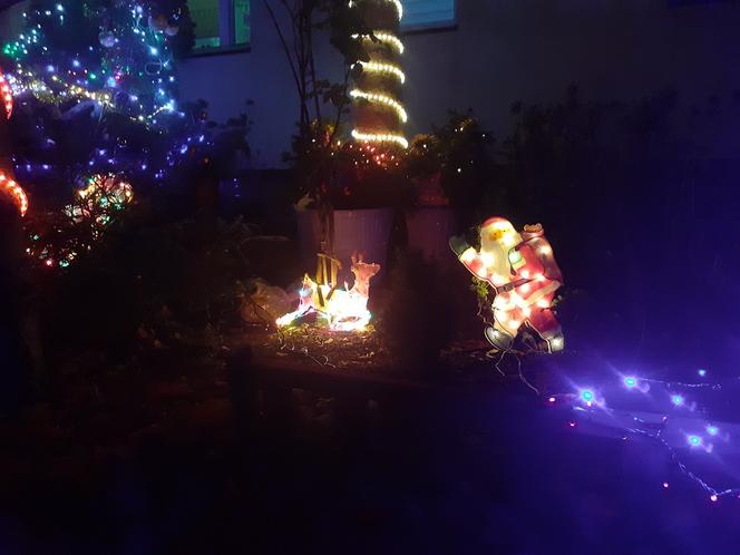 Świąteczna iluminacja bloku przy Niesiołowskiego 24 w Toruniu to już tradycja