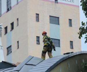 Burze w rejonie Oświęcimia. Blisko 200 interwencji strażaków