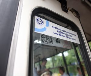 Zlot ikarusów w Mysłowicach