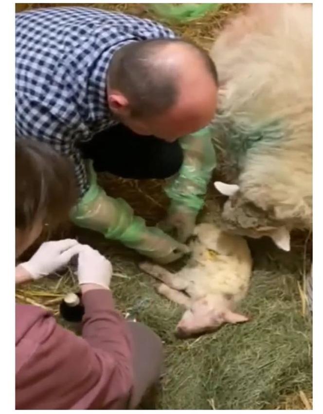 Zostałem mamą Henia