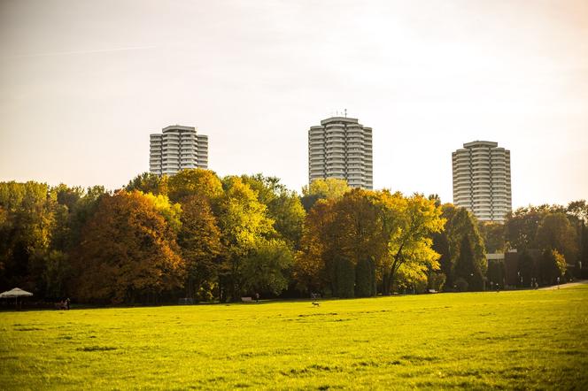 Park Śląski jesienią jest naprawdę piękny