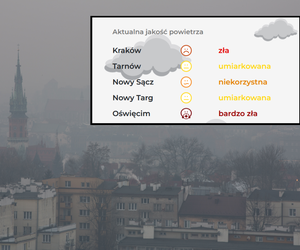 Jest mróz, więc i smog zaatakował. Normy przekroczone kilkunastokrotnie. Lepiej nie otwierać okien!