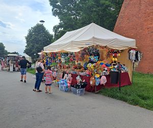 Smoczy Piknik Rodzinny 2025 w Krakowie