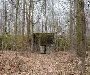  AI wskazała najgorsze miasto Opolszczyzny. Dramat i marazm, z którego nie ma wyjścia