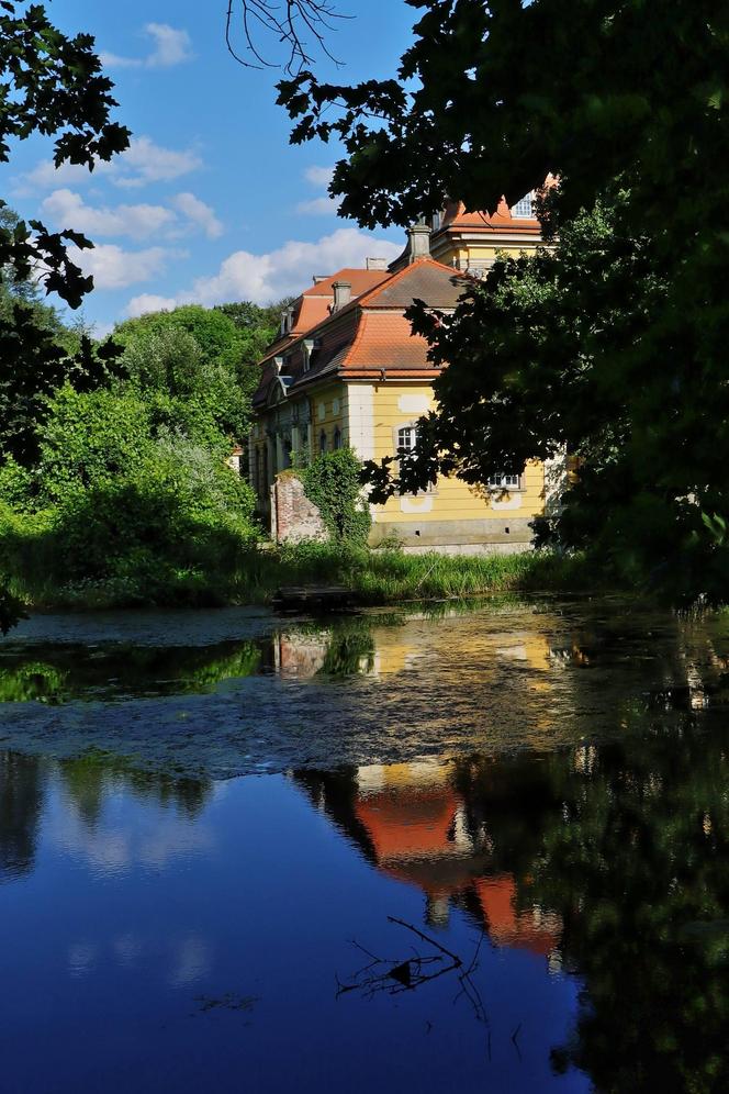 Dolnośląski zamek na wyspie wystawiony na sprzedaż. 10 milionów i pałac w Radomierzycach jest twój 