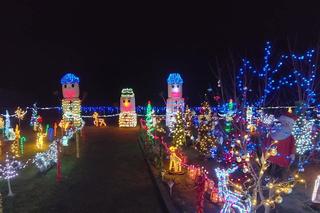 To najbardziej świąteczny dom na Dolnym Śląsku. Wszyscy chcą go zobaczyć 