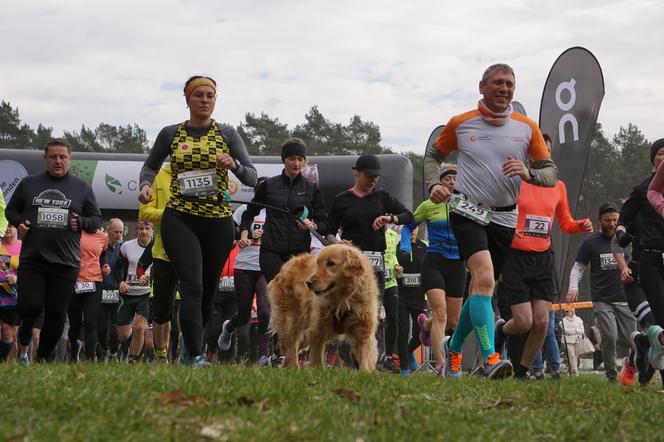 Rekordowy bieg City Trail w bydgoskim Myślęcinku [ZDJĘCIA]