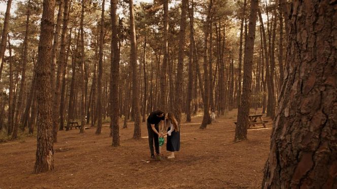 Miłość i nadzieja odc. 281. Kuzey, Sila