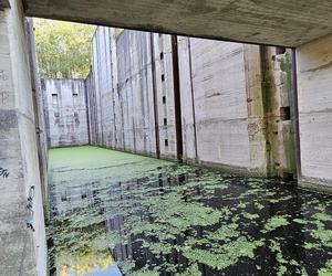 Monumentalna śluza Leśniewo z symbolami III Rzeszy ukryta w mazurskim lesie. Jest owiana tajemnicą [ZDJĘCIA]