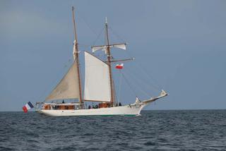 ParadaZagleGdyni2014_FotMZwierz_700906