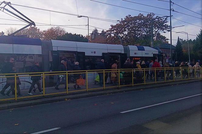 1 listopada na Cmentarzu Centralnym w Szczecinie