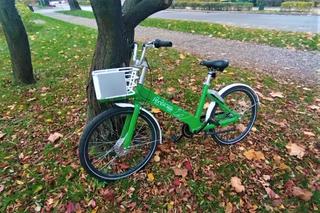 Jak zarobić na Bike_S?