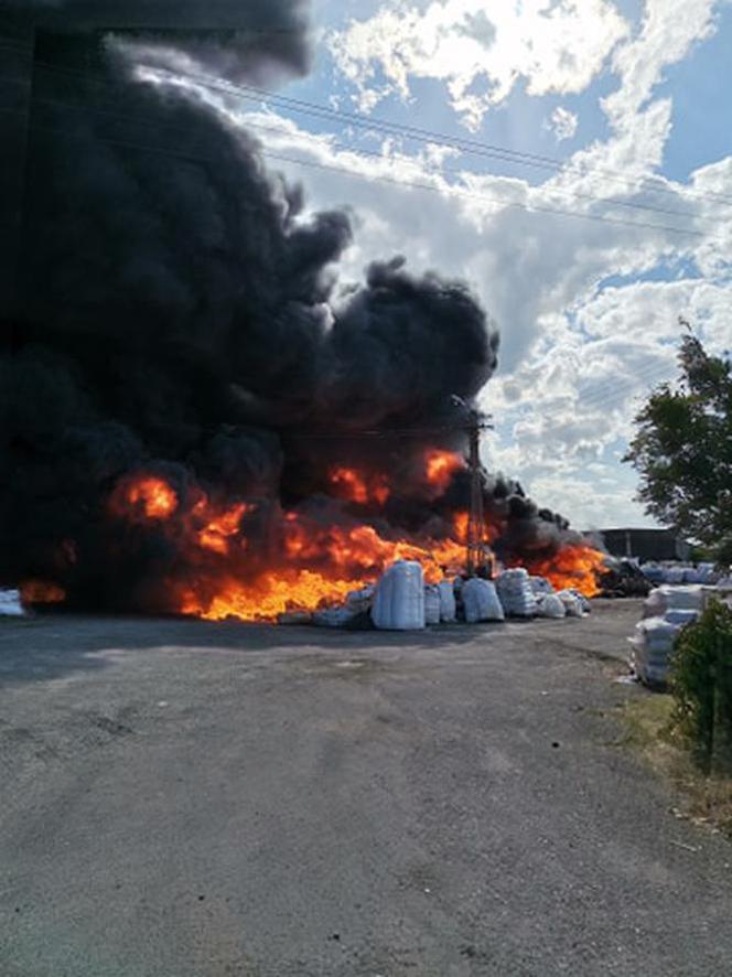 Potężny pożar na składowisku śmieci w okolicach Złotnik Kujawskich