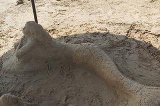 Szukamy imienia dla Syrenki, która pojawiła się na plaży w Brodach