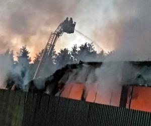 Pożar hali  w Rudniku nad Sanem [GALERIA]