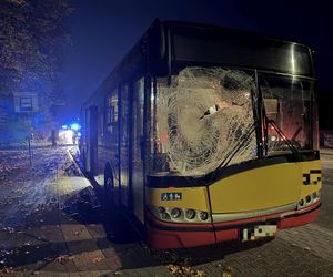 Wiązowna. Zderzenie autobusu z sarną 